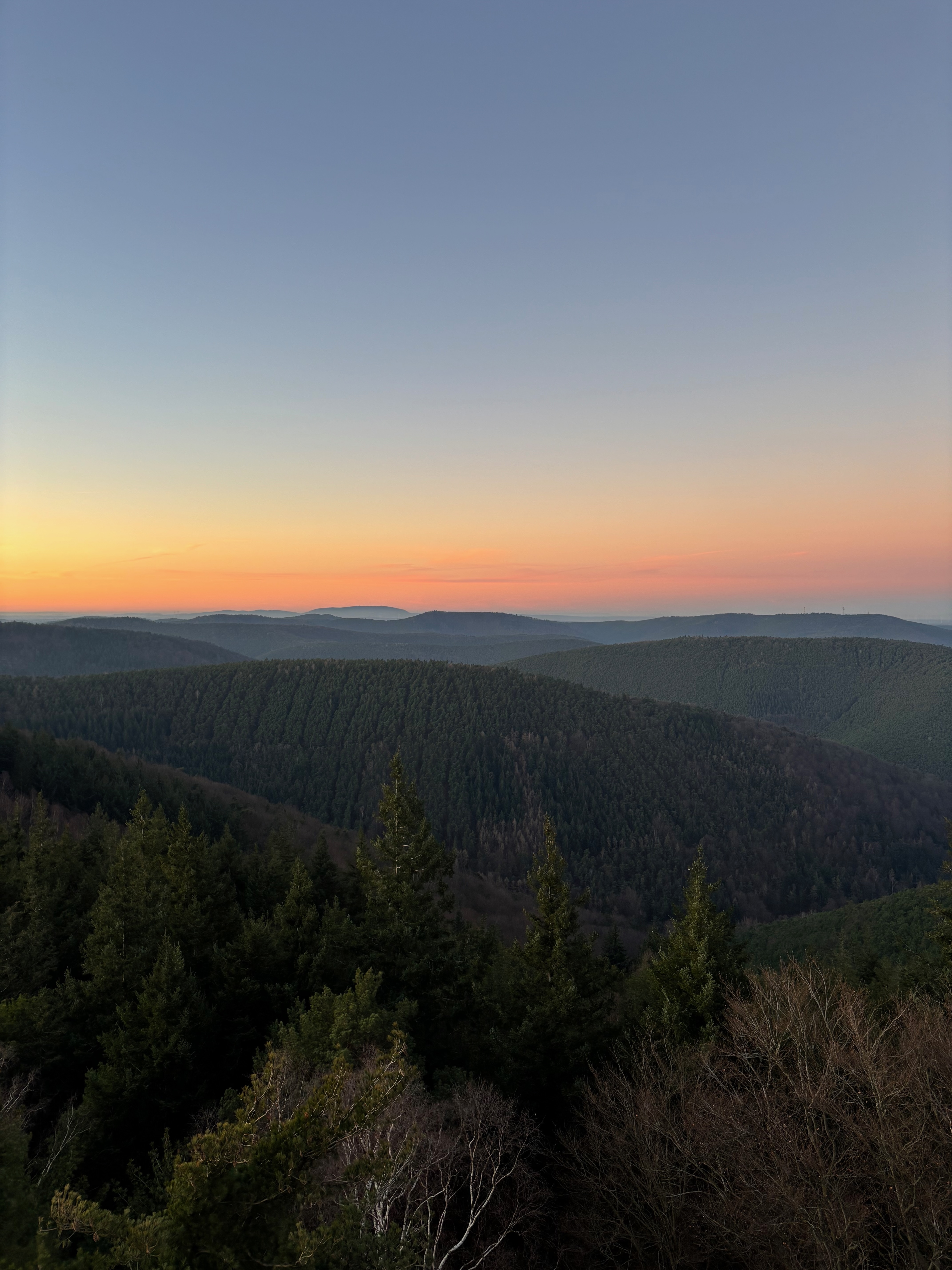 Landschaft in der Pfalz